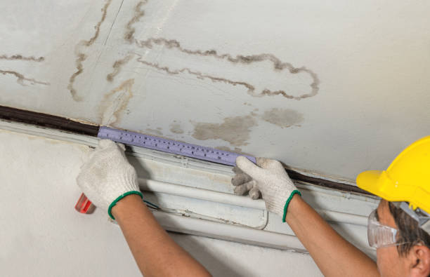 24/7 Emergency Burst Pipe Cleanup experts in Cedar Springs, MI