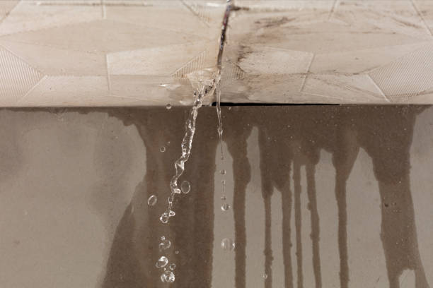 Professional Burst Pipe Cleanup technician working in Cedar Springs, MI